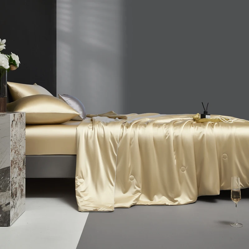 Pure Mulberry Silk Comforter for All Season, 100% Natural Long Strand Silk Filled Duvet, Lightweight Summer Quilt/Blanket/Duvets